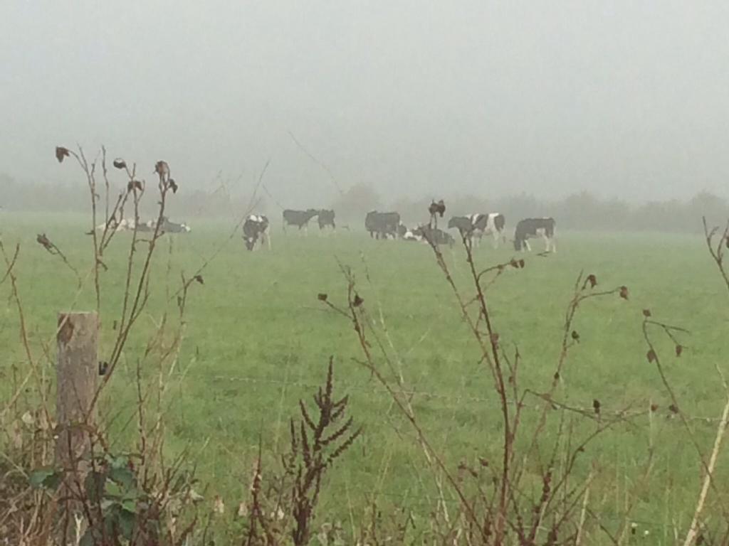 Bed&Brood Comon Ubbergen Ruang foto